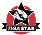 TIGA STAR employer award logo